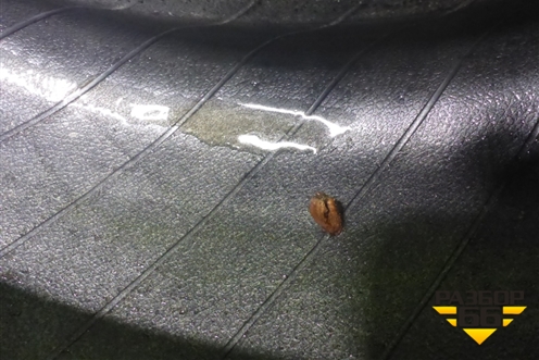 Шина  215/55 R16 (Лето) (MichelinEnergySaver) (MICHELINENERGYSAVER)