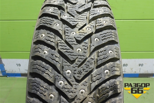 Шина  175/70 R14 (Зима Шипы) (NokianNordman8) (NOKIANNORDMAN8)