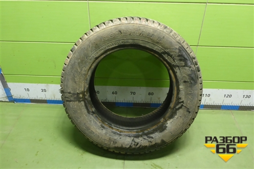 Шина  175/70 R14 (Зима Шипы) (NokianNordman8) (NOKIANNORDMAN8)