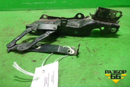 Петля капота правая (8200081663) для Renault Scenic с 2003-2009г (Сценик)