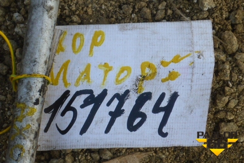 Трубка гидроусилителя для Mercedes Benz TRUCK Axor 2 с 2004г (Аксор)