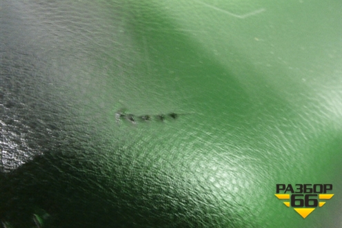 Обшивка багажника правая (ESJ501040000) для Land Rover Range Rover Sport с 2005-2012г (Спорт)