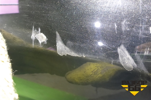 Бампер задний (под парктоник) (5215960840) для Lexus LX-570 с 2015г (ЛХ)