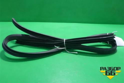 Уплотнитель двери задней правой (DN15N24754) для Ford EcoSport с 2014г (Экоспорт)