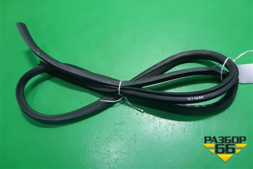 Уплотнитель двери задней правой (DN15N24754) для Ford EcoSport с 2014г (Экоспорт)