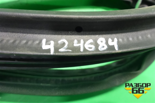 Уплотнитель двери задней правой (DN15N24754) для Ford EcoSport с 2014г (Экоспорт)