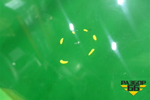 Стекло лобовое (7701066906) для Renault Clio с 1998-2002г (Клио)