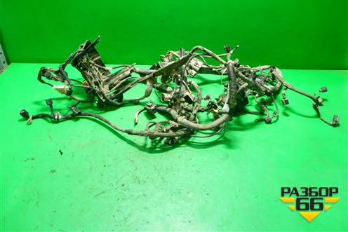 Проводка подкапотная (1.2л BME) для Skoda Fabia с 1999-2007г (Фабия)