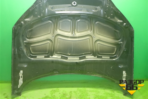 Капот (8W6823029) для Audi A5/S5 с 2016г (А5/С5)