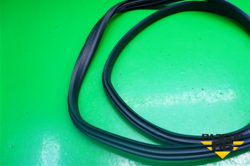 Уплотнитель двери (задней левой) для Renault Kaptur с 2016г (Каптюр)