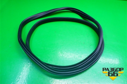 Уплотнитель двери (задней левой) для Renault Kaptur с 2016г (Каптюр)