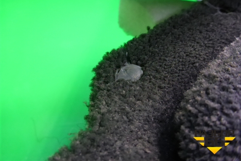 Обшивка багажника левая (нижняя) для Porsche Cayenne с 2003-2010г (Каен)