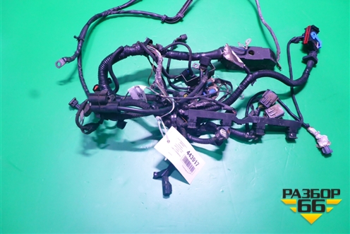 Проводка на двигатель (1.6л SHDA) (5M5T12A690RAA) для Ford Focus 2 с 2008-2011г (Фокус)