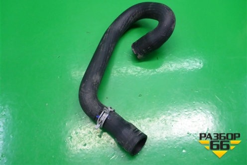 Патрубок системы охлаждения (на радиатор нижний) для Ford C-MAX с 2003-2010г (ЦМакс 1)