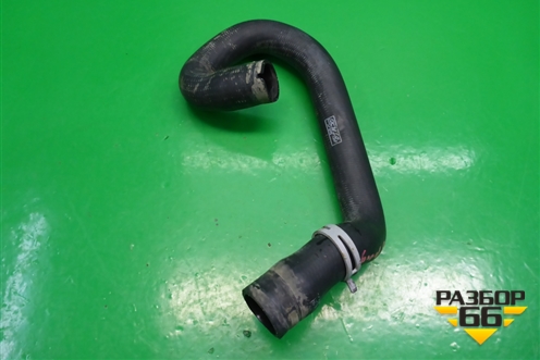 Патрубок системы охлаждения (на радиатор нижний) для Ford C-MAX с 2003-2010г (ЦМакс 1)