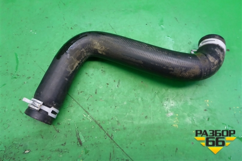 Патрубок системы охлаждения (на радиатор нижний) для Ford Fusion с 2002г (Фьюжн)