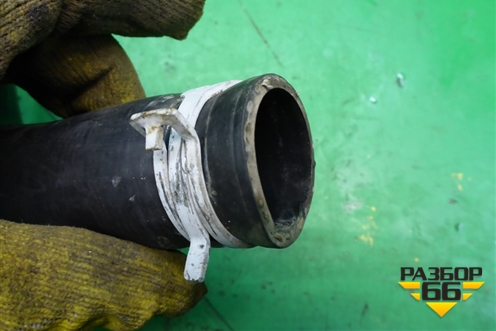 Патрубок системы охлаждения (на радиатор нижний) для Ford Fusion с 2002г (Фьюжн)