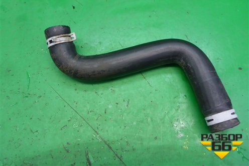 Патрубок системы охлаждения (на радиатор нижний) для Ford Fusion с 2002г (Фьюжн)