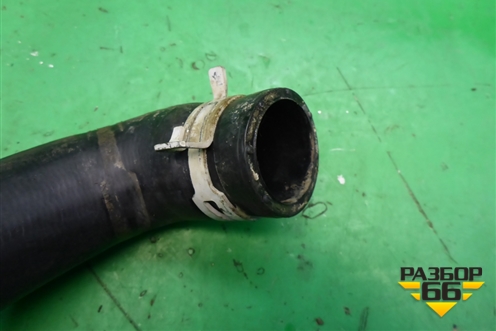 Патрубок системы охлаждения (на радиатор нижний) для Ford Fusion с 2002г (Фьюжн)