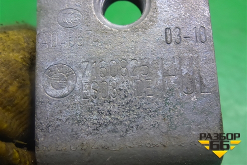 Петля двери задней левой нижняя (7160825) для BMW X5 E70 с 2007-2013г (Х5 Е70)