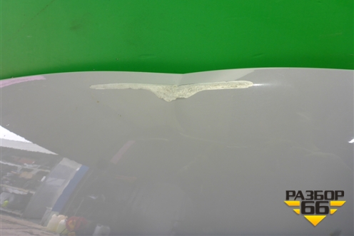 Капот (509000735AADYJ) для Exeed TXL с 2020-2024г (ТХЛ)