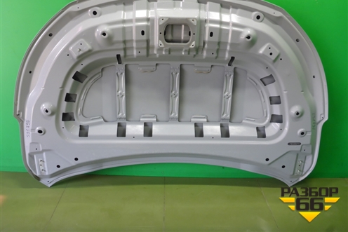 Капот (509000735AADYJ) для Exeed TXL с 2020-2024г (ТХЛ)