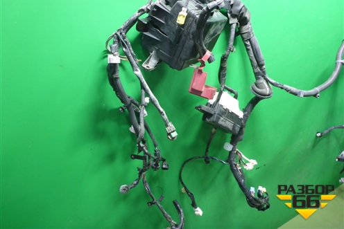 Проводка подкапотная для Toyota Isis c 2004-2018г (Исис)