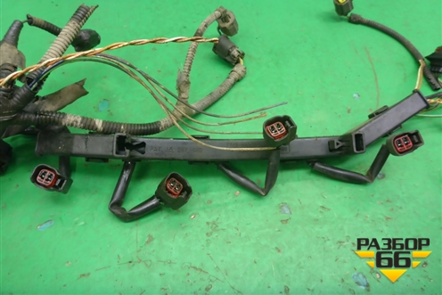 Проводка на двигатель (2.0л на форсунки) для Ford Focus 1 с 1998-2004г (Фокус)