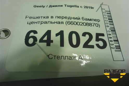 Решетка в передний бампер центральная (6600208870) для Geely Tugella с 2019г (Тугелла)