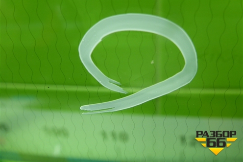 Стекло лобовое (с обогревом под датчик дождя) (555000475AA) для OMODA C5 с 2022г (Ц5)