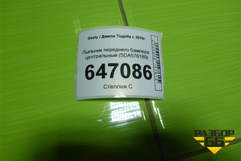 Пыльник переднего бампера центральный (5DA576189) для Geely Tugella с 2019г (Тугелла)