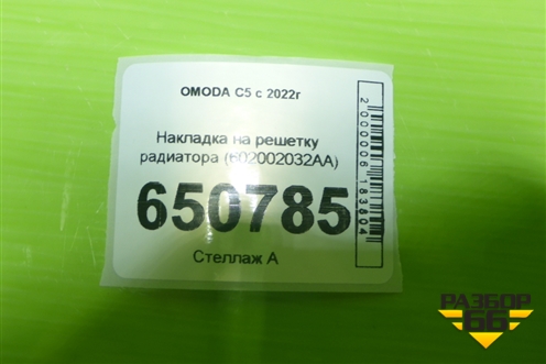 Накладка на решетку радиатора (602002032AA) для OMODA C5 с 2022г (Ц5)