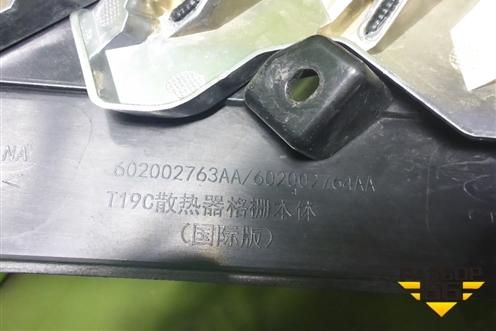 Решетка радиатора (602002763AA) для OMODA C5 с 2022г (Ц5)