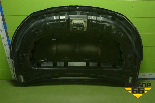 Капот (509000735AADYJ) для Exeed TXL с 2020-2024г (ТХЛ)