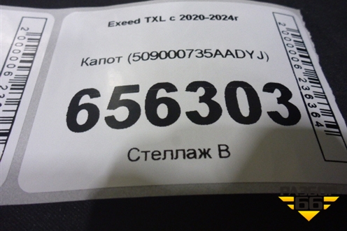 Капот (509000735AADYJ) для Exeed TXL с 2020-2024г (ТХЛ)