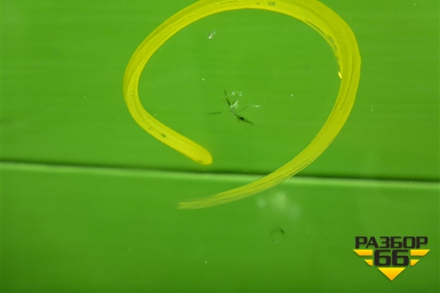 Стекло лобовое (51317409385) для BMW X4 G02 с 2018г (Х4 Г02)