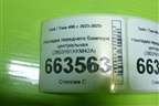 Накладка переднего бампера центральная (2803161XKM42A) для Tank 400 с 2023-2025г