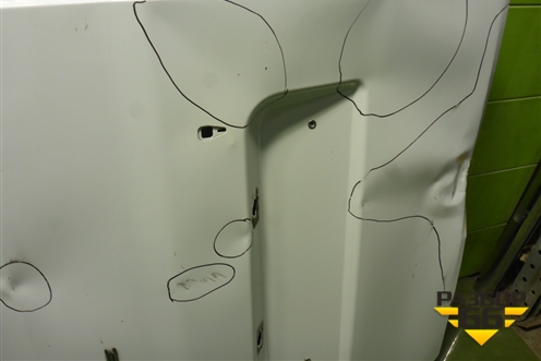 Дверь задняя левая (A31R236300015) для GAZ ГАЗель NEXT (Некст)