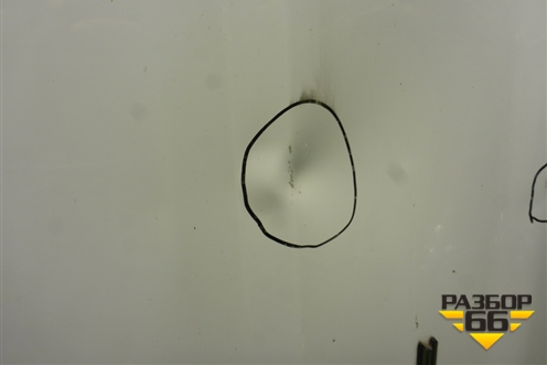 Дверь задняя левая (A31R236300015) для GAZ ГАЗель NEXT (Некст)