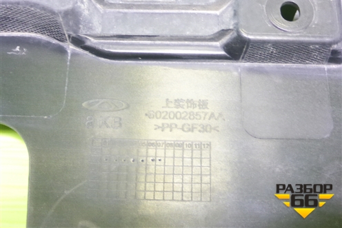 Накладка декоративная на переднюю панель (602002857AA) для OMODA S5 с 2022г (С5)