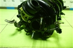 Коллектор впускной (2.0л 3ZR-FAE) для Toyota Rav-4 с 2012-2019г (Рав 4)