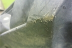 Бампер передний (Cross после 2022г) (8450040056) для VAZ Vesta / Веста с 2015г